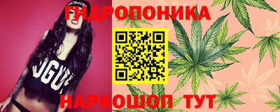 ALPHA PVP Тулун