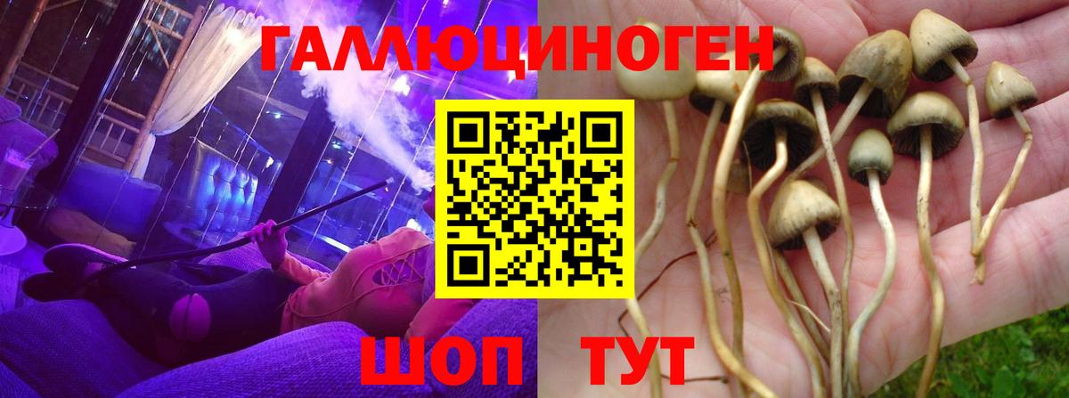 Вязьма  что такое наркотик  Галлюциногенные грибы MAGIC MUSHROOMS  Вход с VPN  Псилоцибиновые грибы ЛСД 