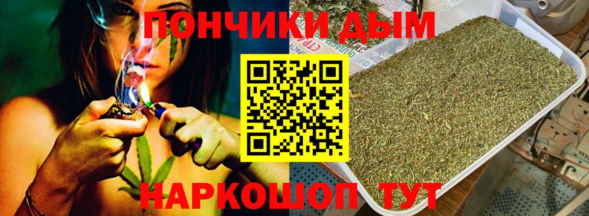 Шишки марихуана сатива Вязьма